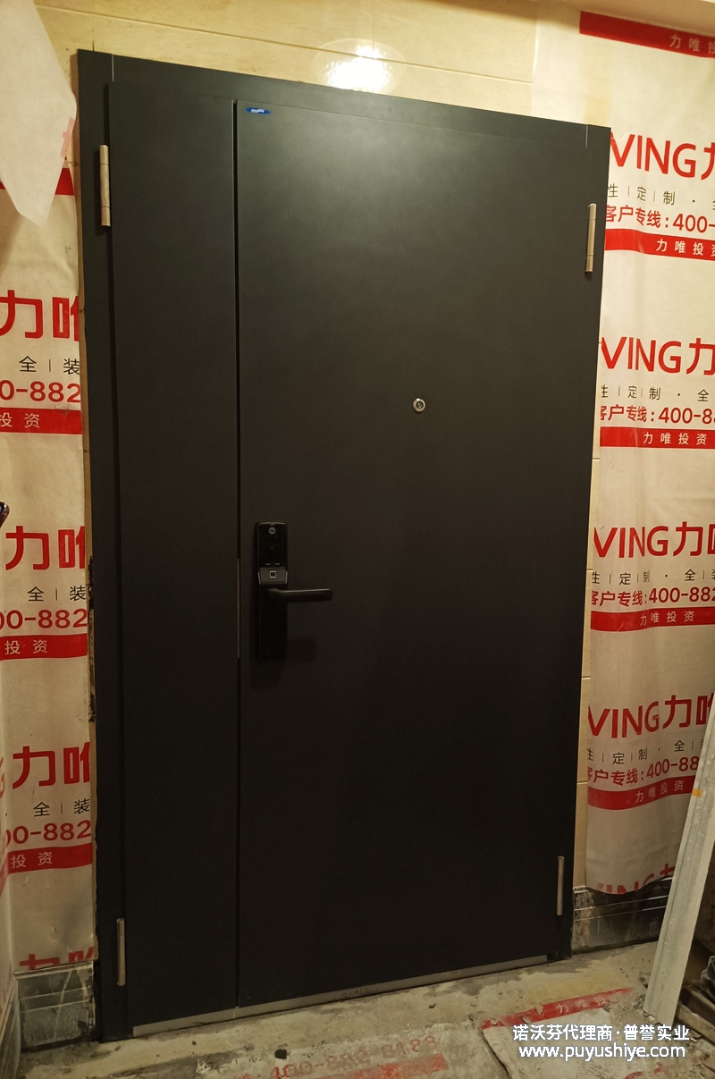 诺沃芬入户门